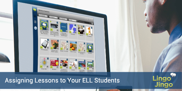 Assigning Lessons to Your ELL Students - Lingo Jingo